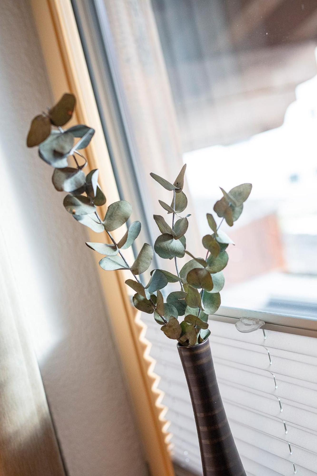 Gustls Ferienhaeusl Apartment Solden Bagian luar foto